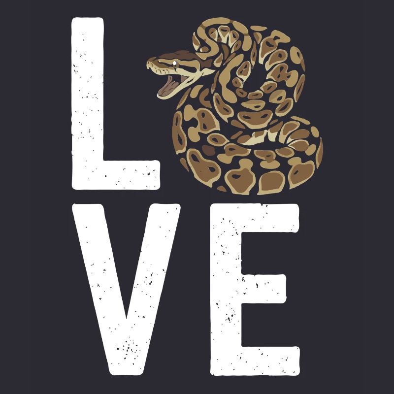 Les serpents rois Python ADORENT les pythons de terrarium