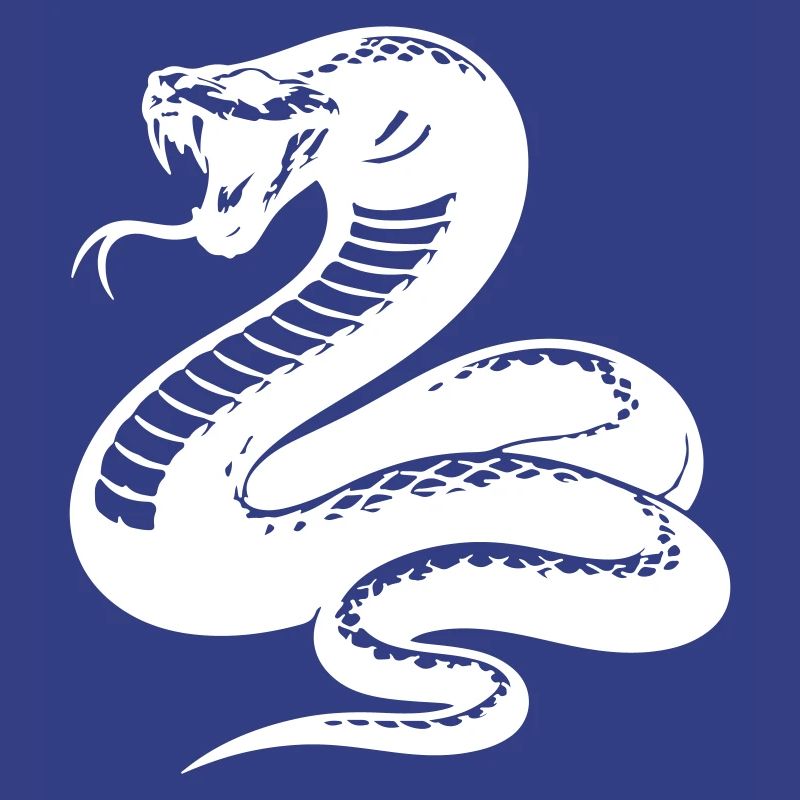 Silhouette du python serpent