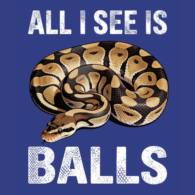 Königspython Schlangen Liebhaber Terrarium Python