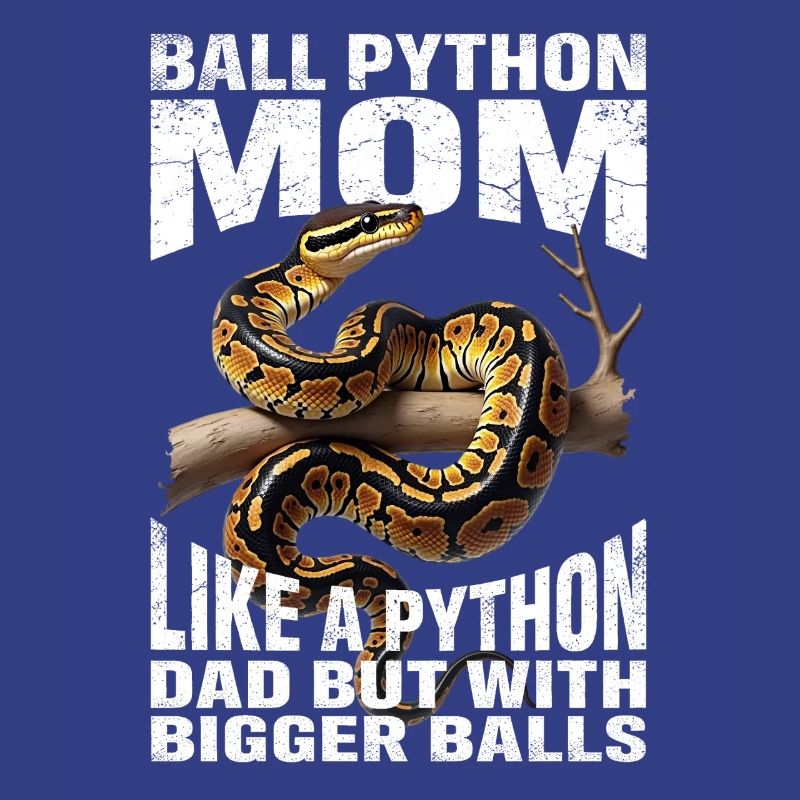 Maman Python roi Maman Serpents Terrarium Python