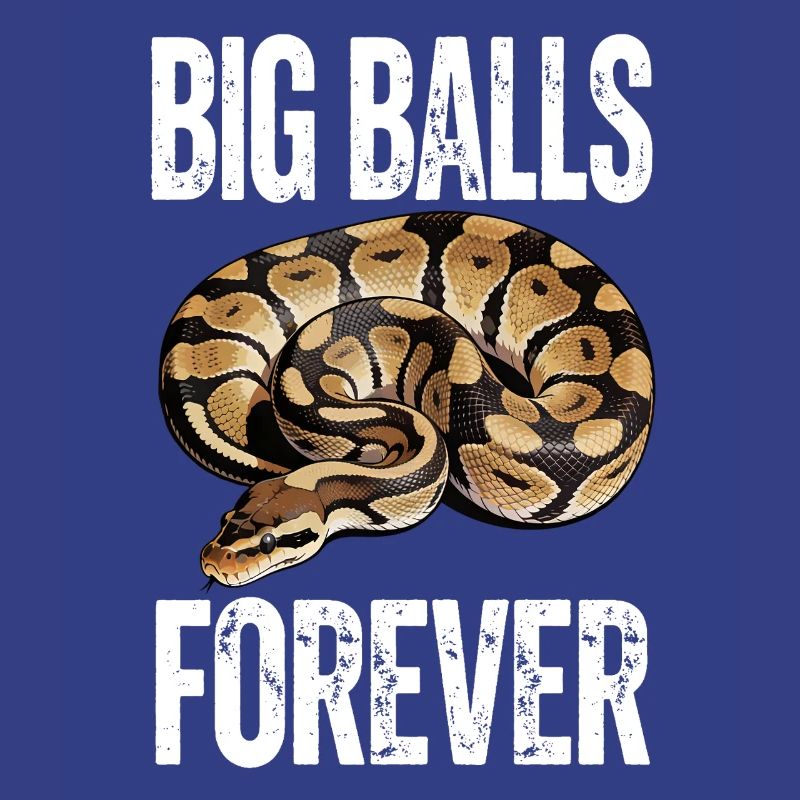 Königspython Schlangen Liebhaber Terrarium Python