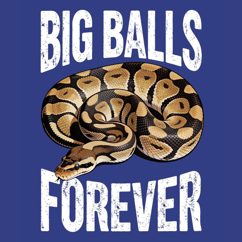 Python roi Serpents Amateurs de terrarium Python