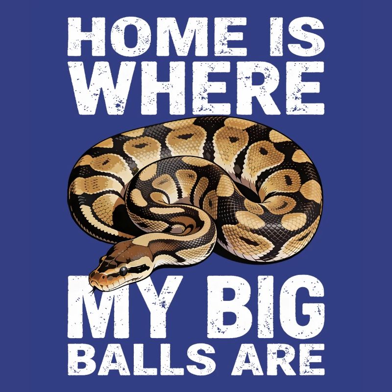 Königspython Schlangen Liebhaber Terrarium Python