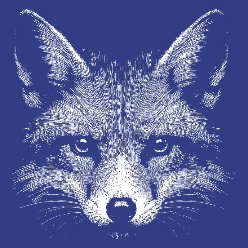 Rotfuchs