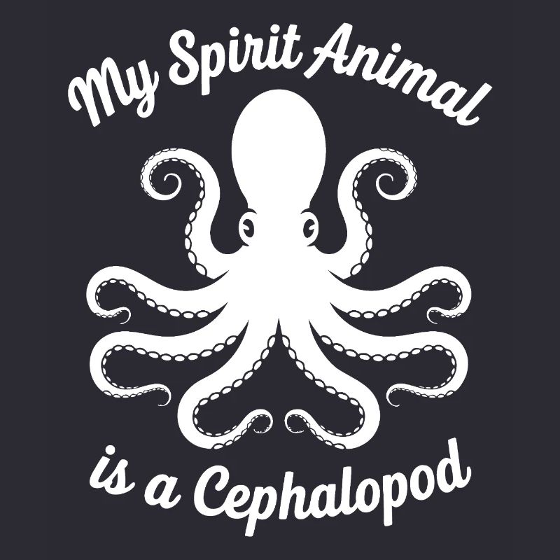 Conception des céphalopodes