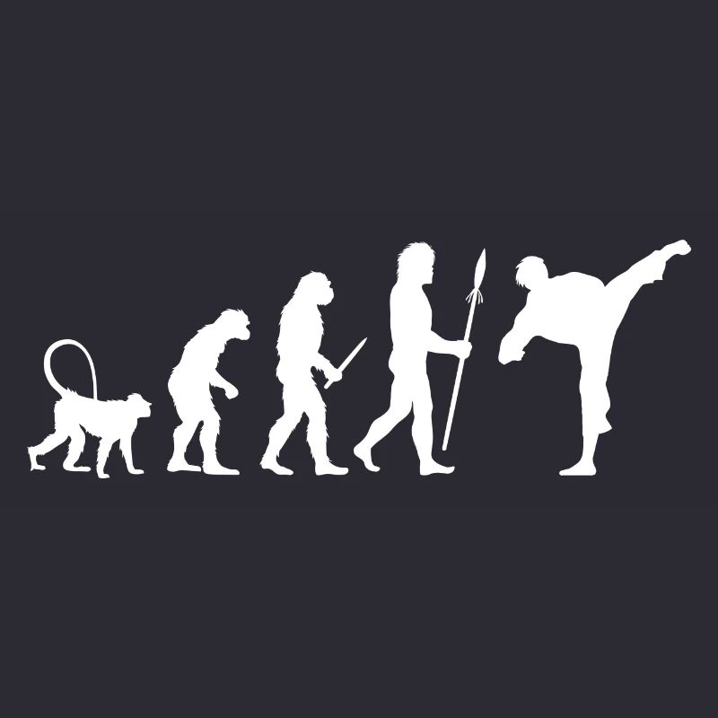 Évolution du karaté