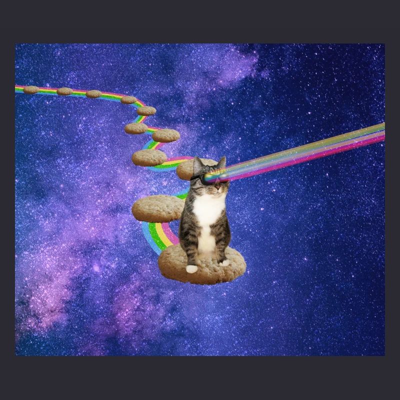 Mignon chat tigré dans l’espace