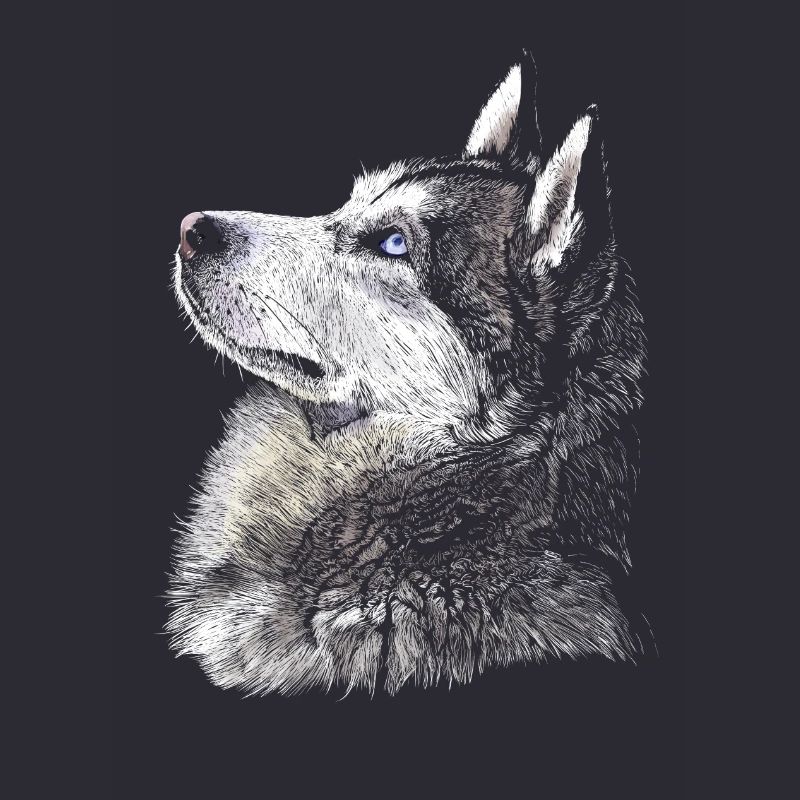 Husky