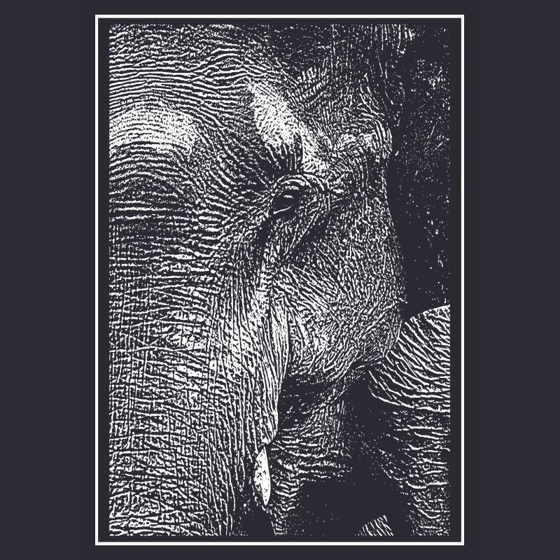 Weißer Elefant