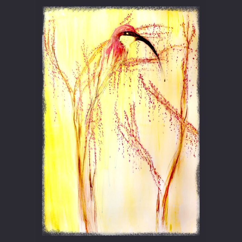  bee-eater