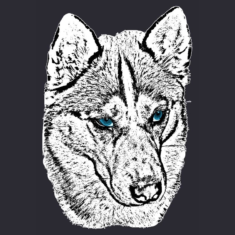 Wolf Head Drawing Blue Eyes