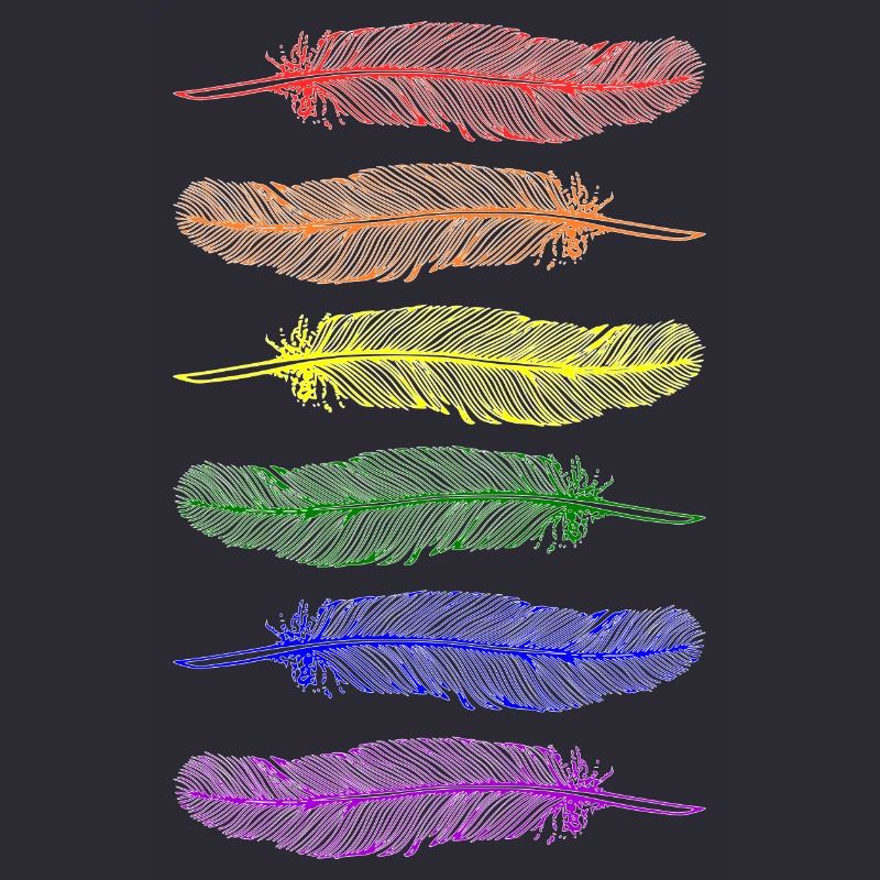 Federn Regenbogen