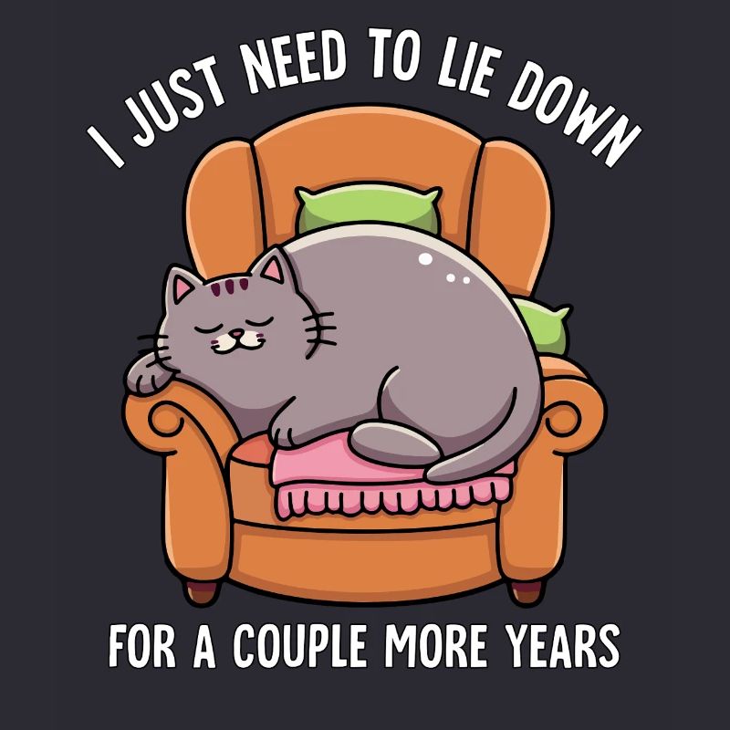 Sleeping Lazy Cat