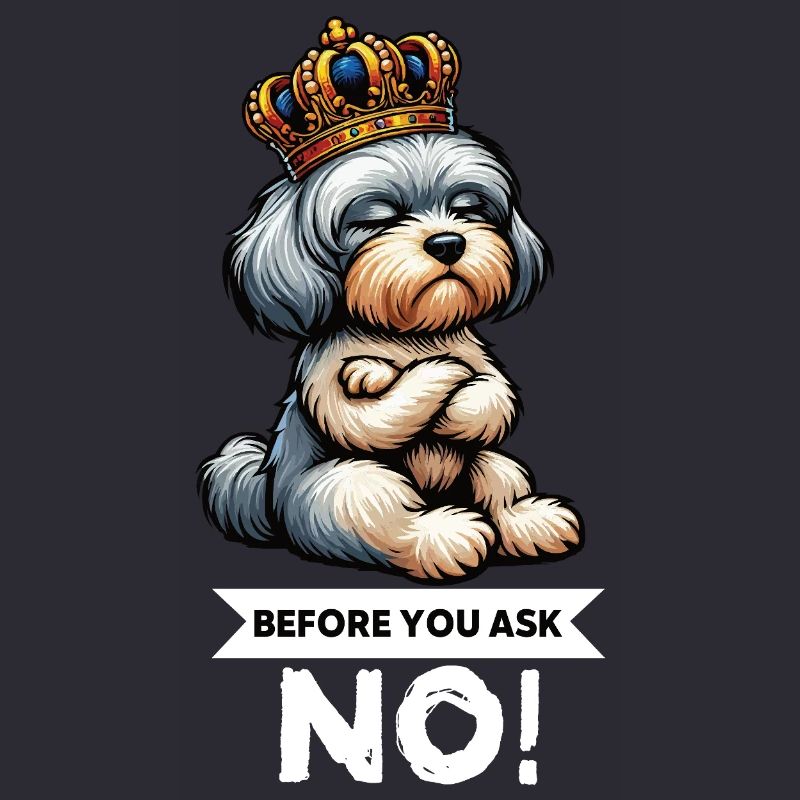 Before You Ask Havanese Havanese Keepers Havanese
