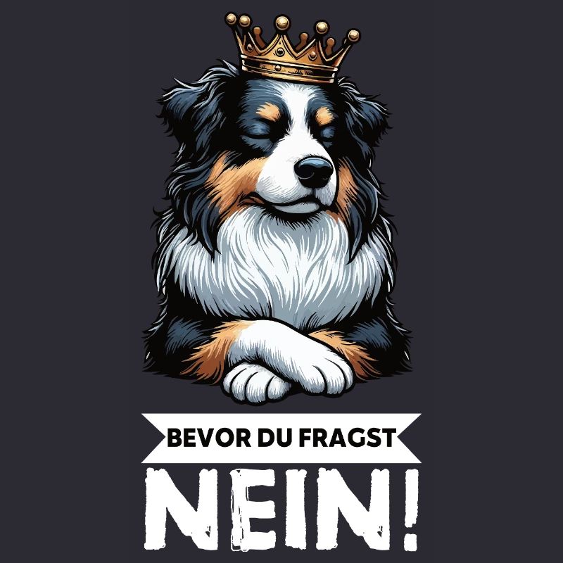Bevor Du Fragst Australian Shepherd Aussie Aussie