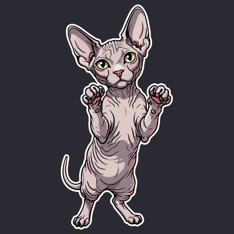 Chat Sphynx Mignon Posture Debout Portrait