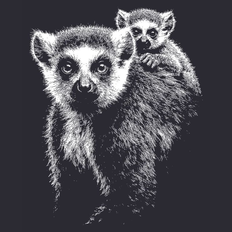 ring-tailed lemur