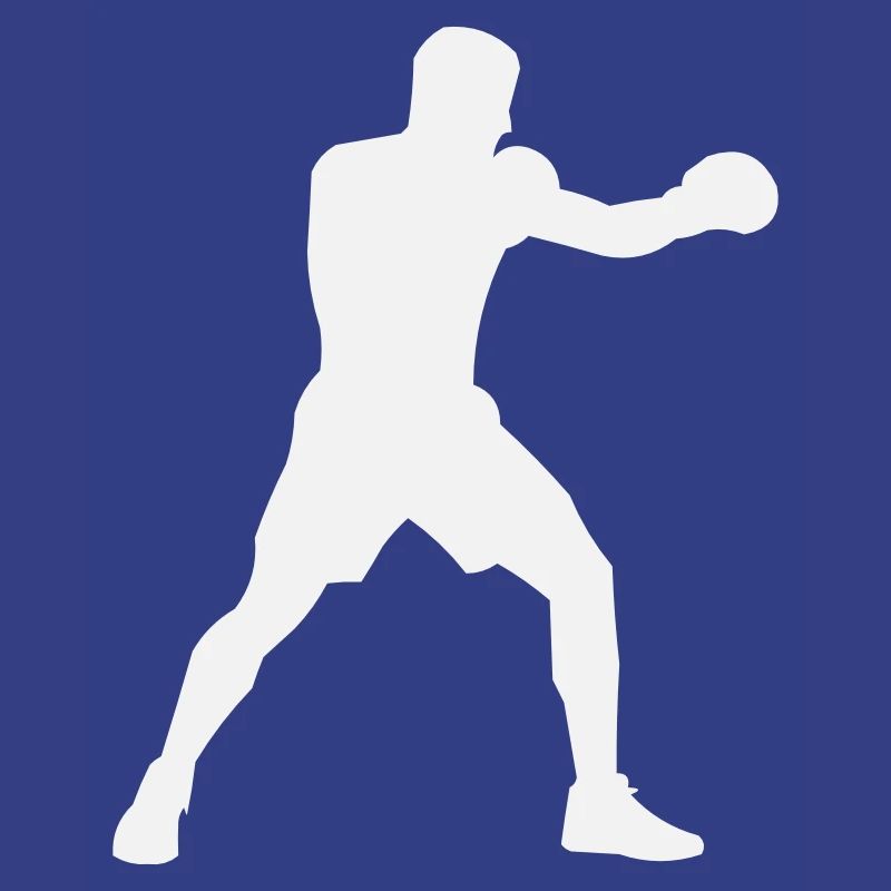 Boost de puissance de la Boxsilhouette