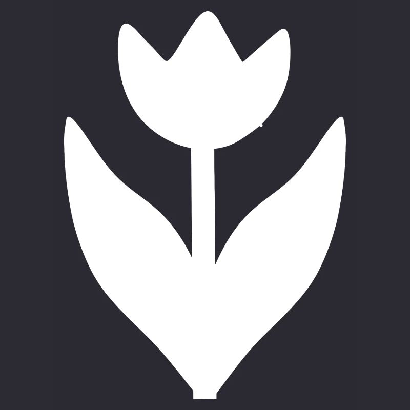 Fleur Blanche Fleur Tulipe Blanche