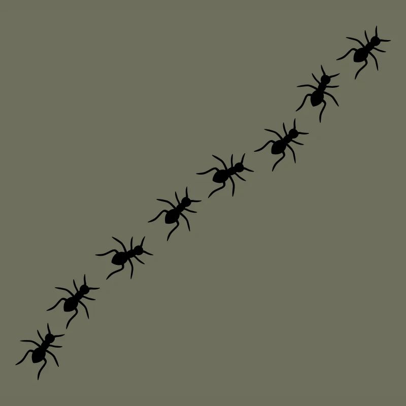 Ants