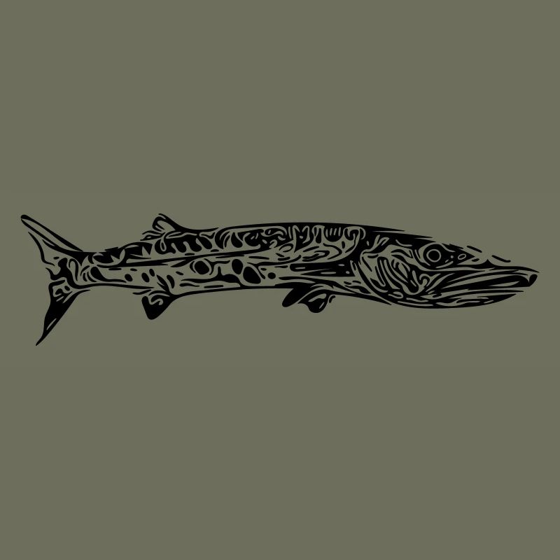 barracuda