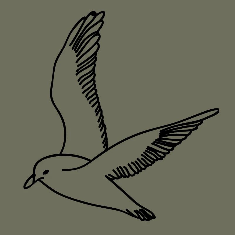 Möwe