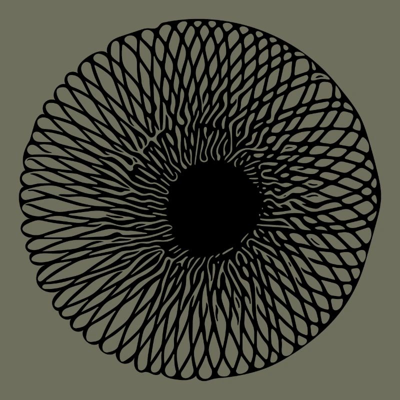 Geometric Optical 3D Circular Line Illusion