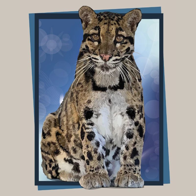 Clouded leopard