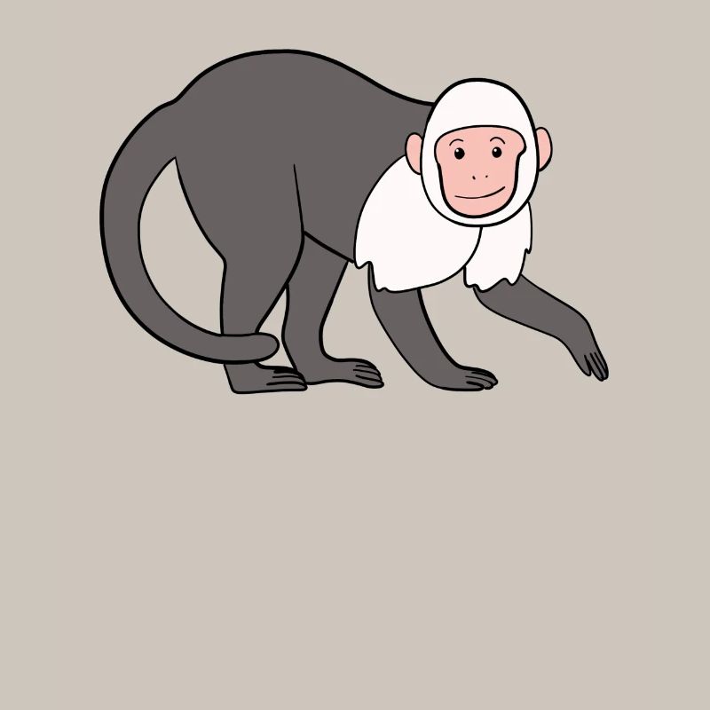 Capuchin Monkey Monkey