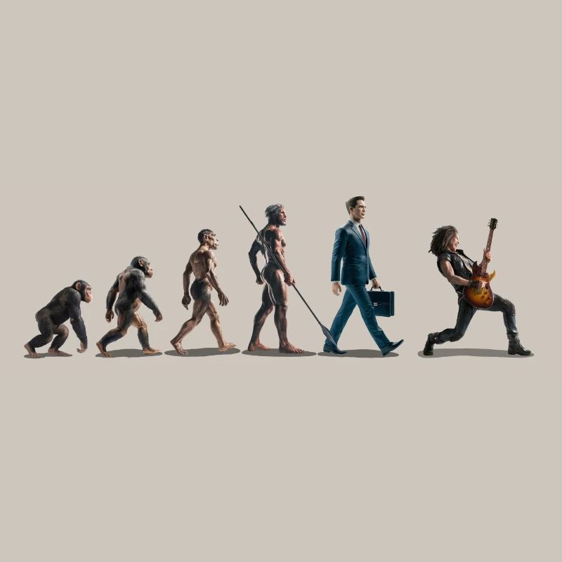 Evolution Guitariste