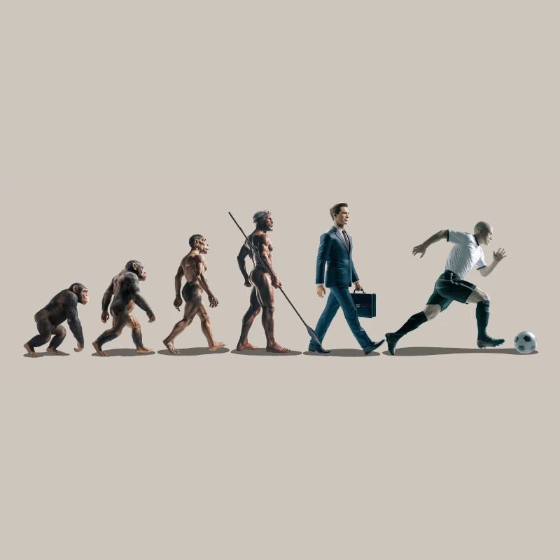 Evolution Fussball Zeichenfläche 1
