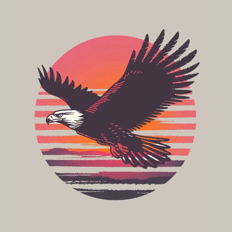 Eagle in flight before sunset
