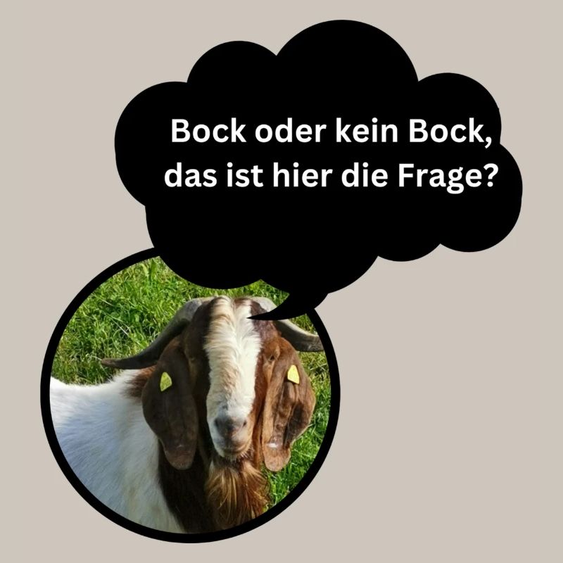 Fun Shirt "Bock oder kein Bock..."