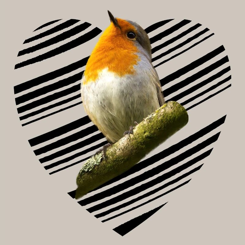 Rotkehlchen robin Erithacus rubecula
