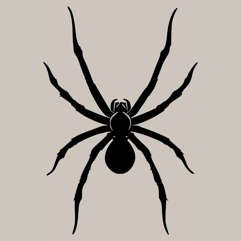 Spinne