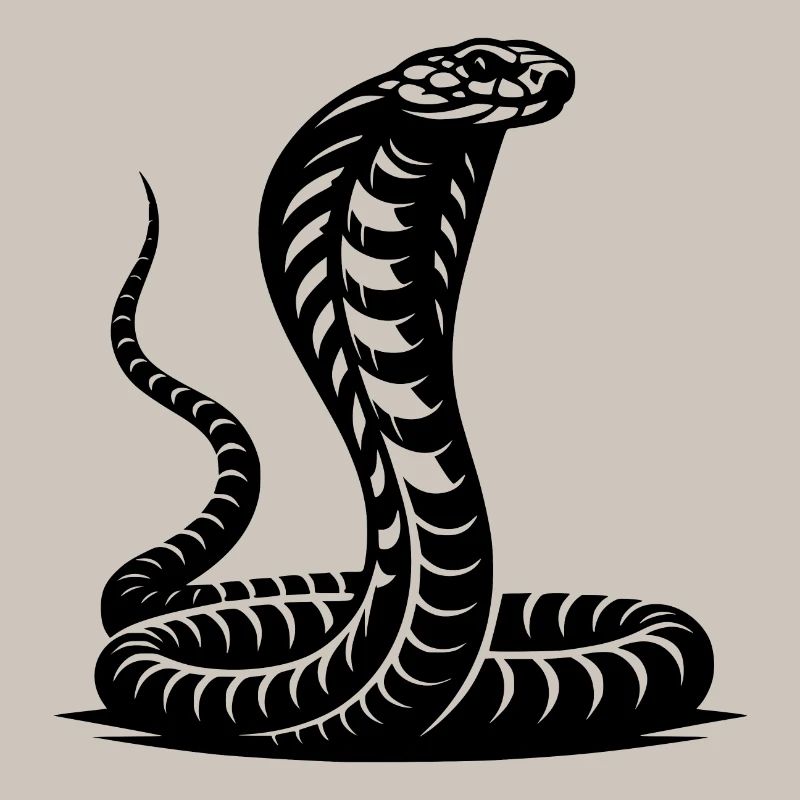 Serpent Cobra Cou Bouclier Menaçant Conception Posture