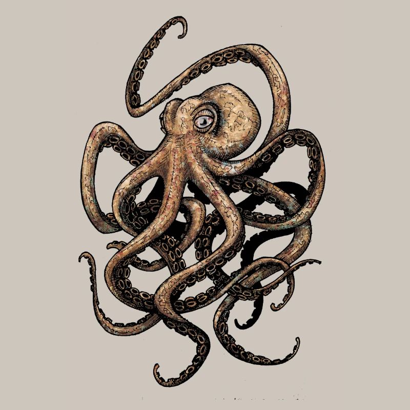 octopus