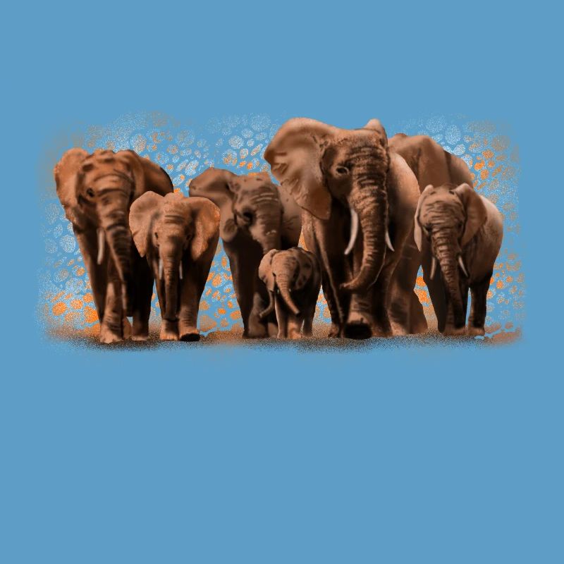 Eléphants