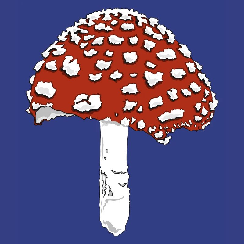 Toadstool toadstool amanita