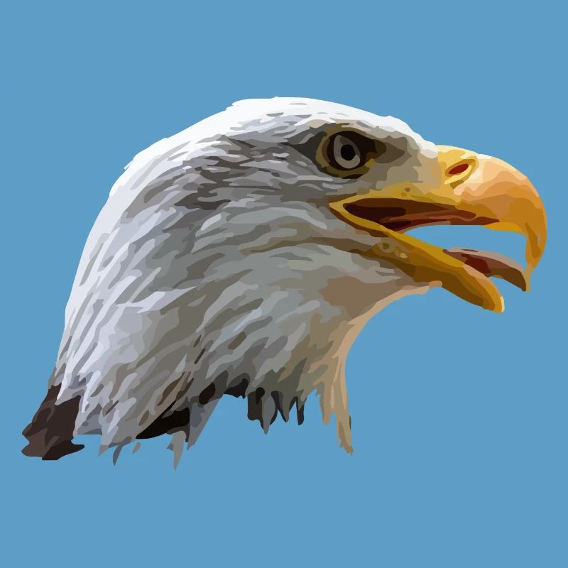 bald eagle