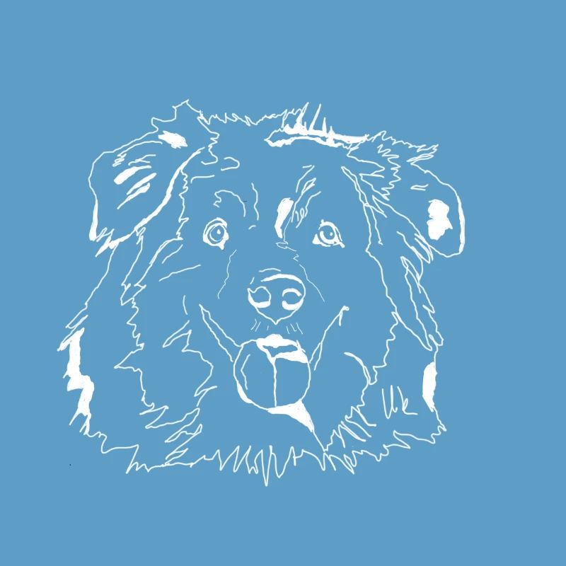 Australian Shepherd