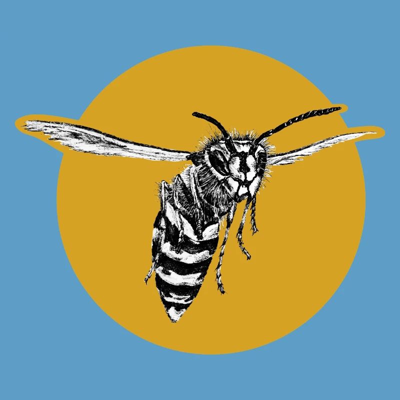 Guêpe - Abeille - Insecte