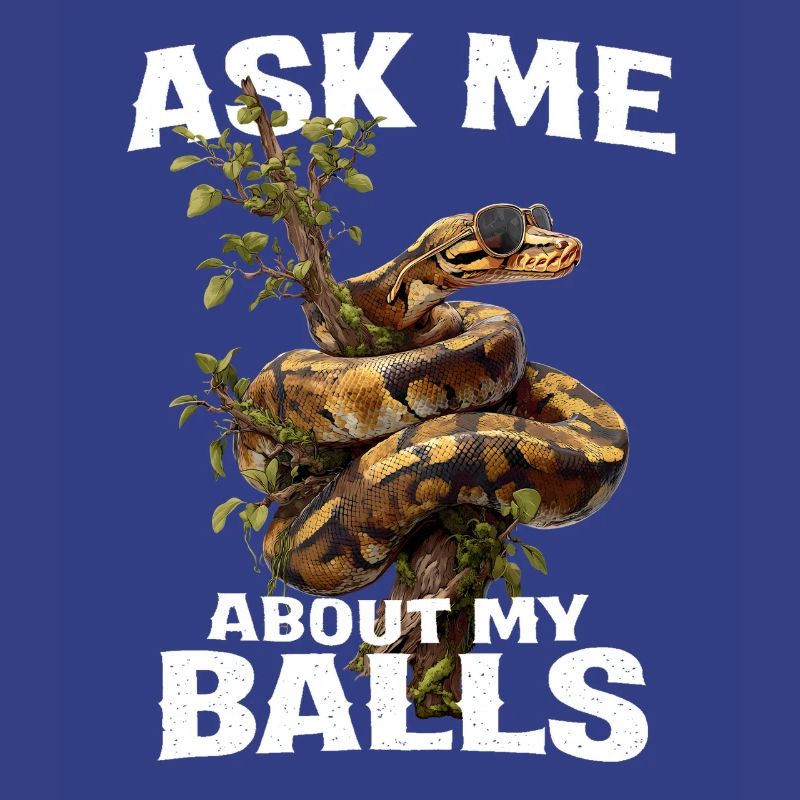 Python roi Serpents Amateurs de terrarium Python