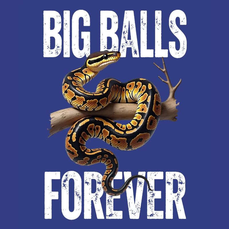 Python roi Serpents Amateurs de terrarium Python