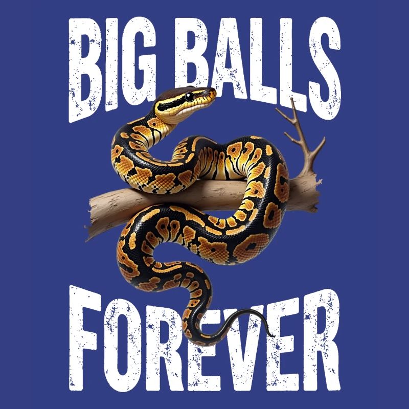 King Python Snakes Lover Terrarium Python