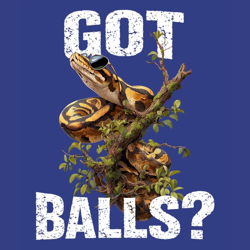 Python roi Serpents Amateurs de terrarium Python