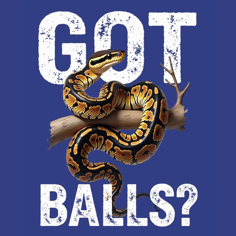 Python roi Serpents Amateurs de terrarium Python