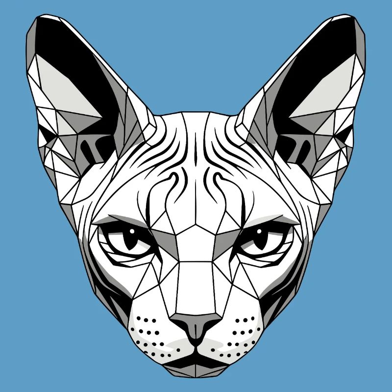 Sphynx Chat Sphynx Chat Chat Canadien Sphinx mignon