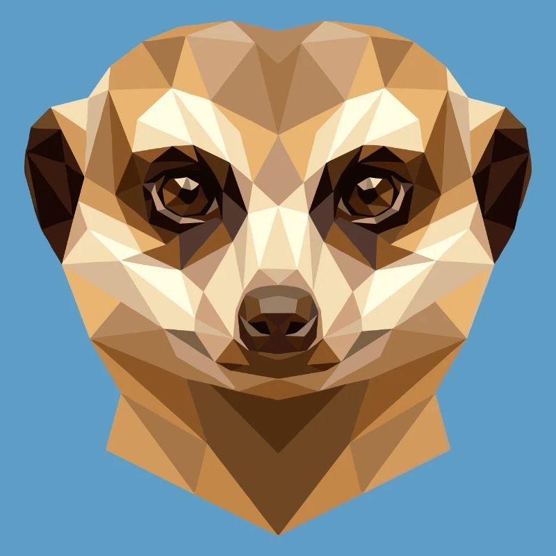 Suricate Suricate Douce Mangouste Suricate