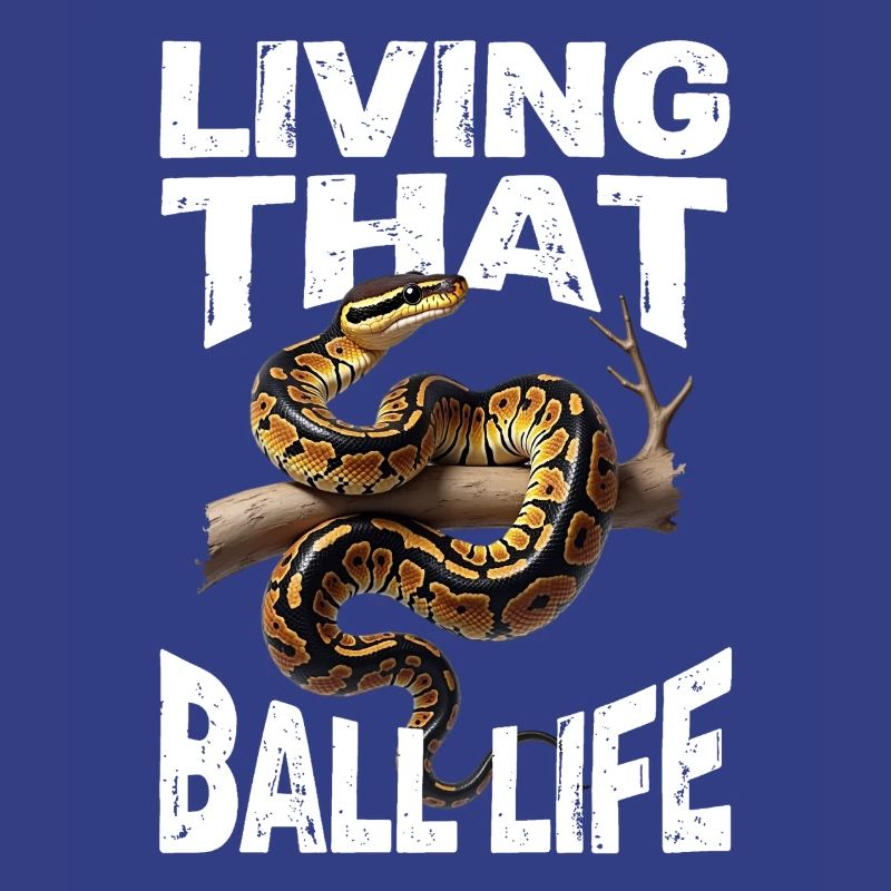 Königspython Schlangen Liebhaber Terrarium Python